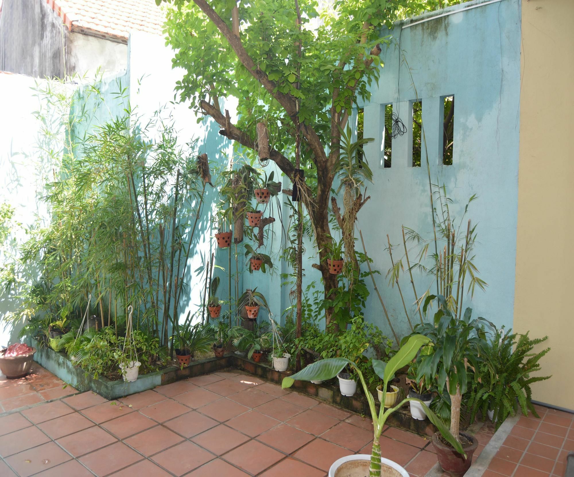 Orchids Homestay Hoi An Exterior photo